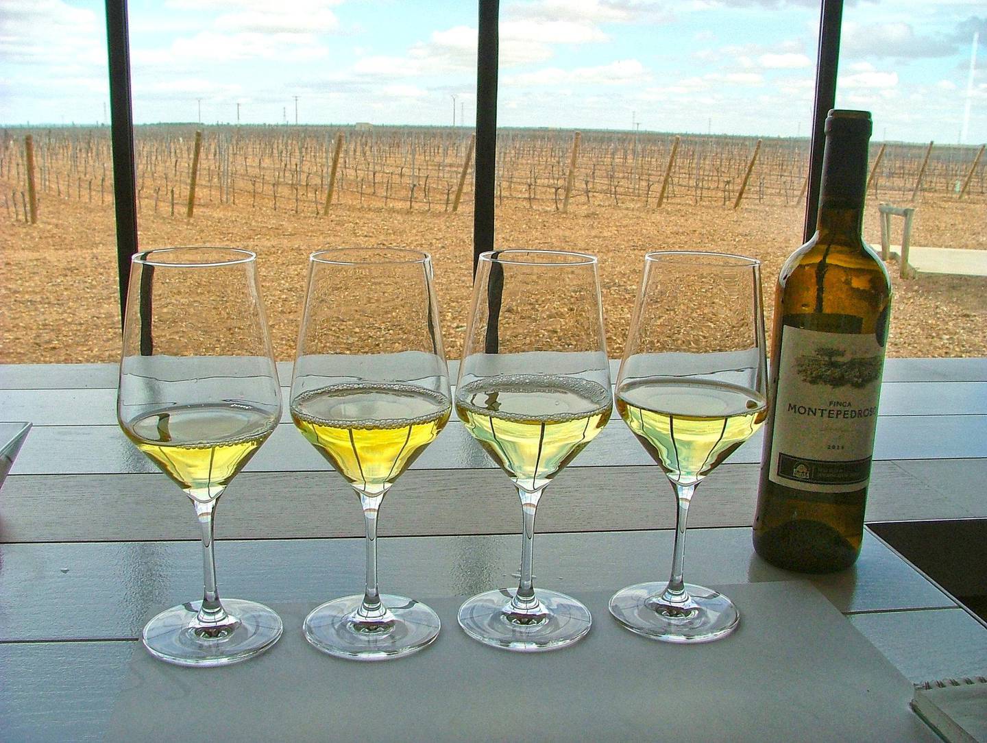 Mange av vinene i Ruedas-området er basert på verdejo-druen. FOTO: ERIK R. SELMER
