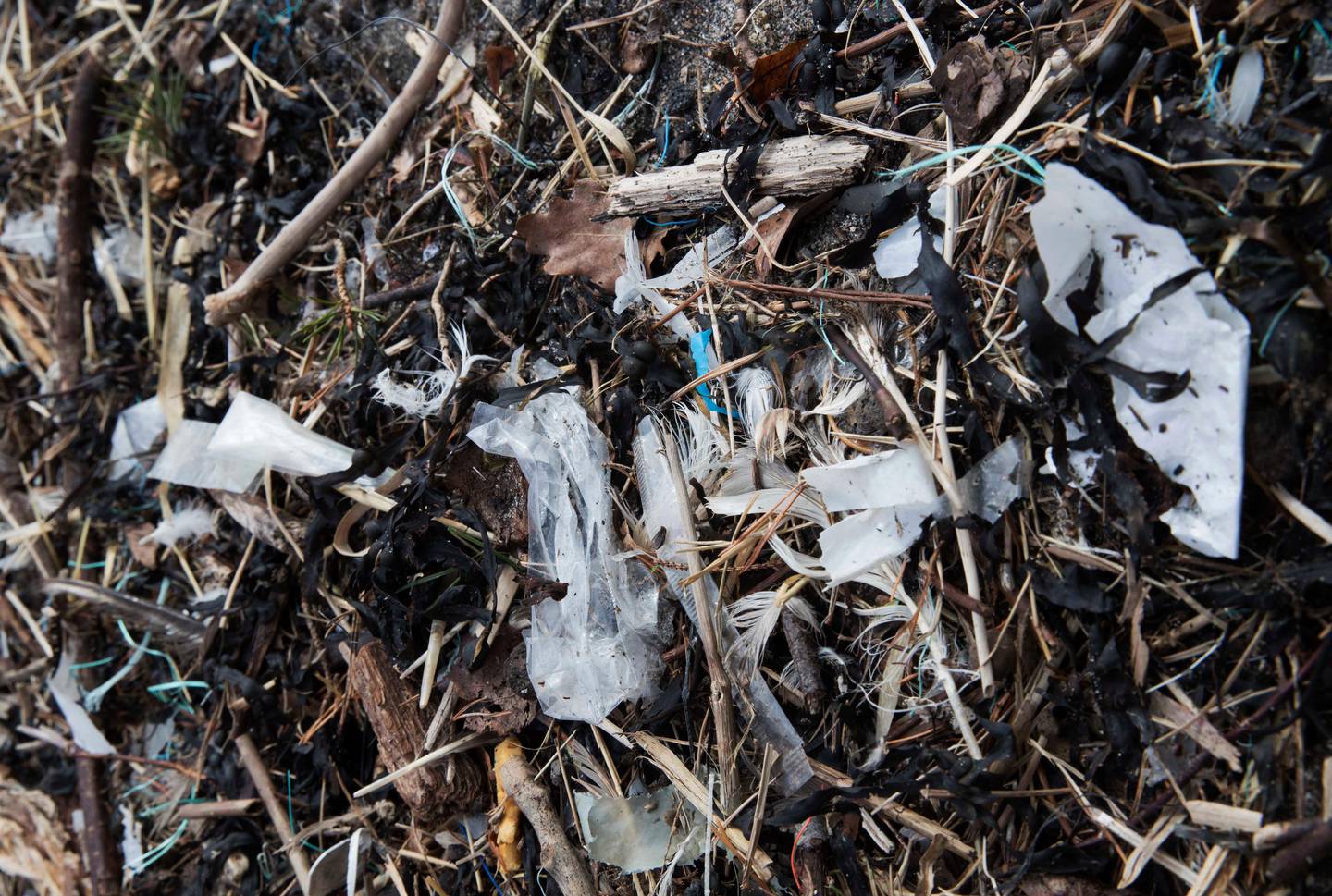 Oslo  20180326.I disse dager dukker det opp plast, mikroplast og mye skrot i strandkanten rundt om i hele landet. Her fra Bygdøy i OsloFoto: Terje Pedersen / NTB scanpix