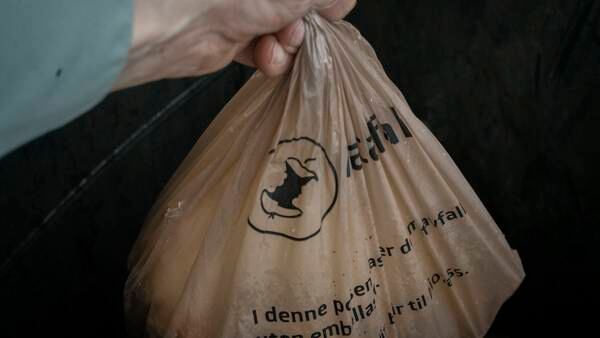En milliard tonn mat gikk i søpla: – Fullstendig katastrofe