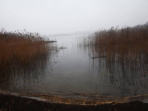 Fjerne forurensing: Vil tømme hele Hålandsvatnet