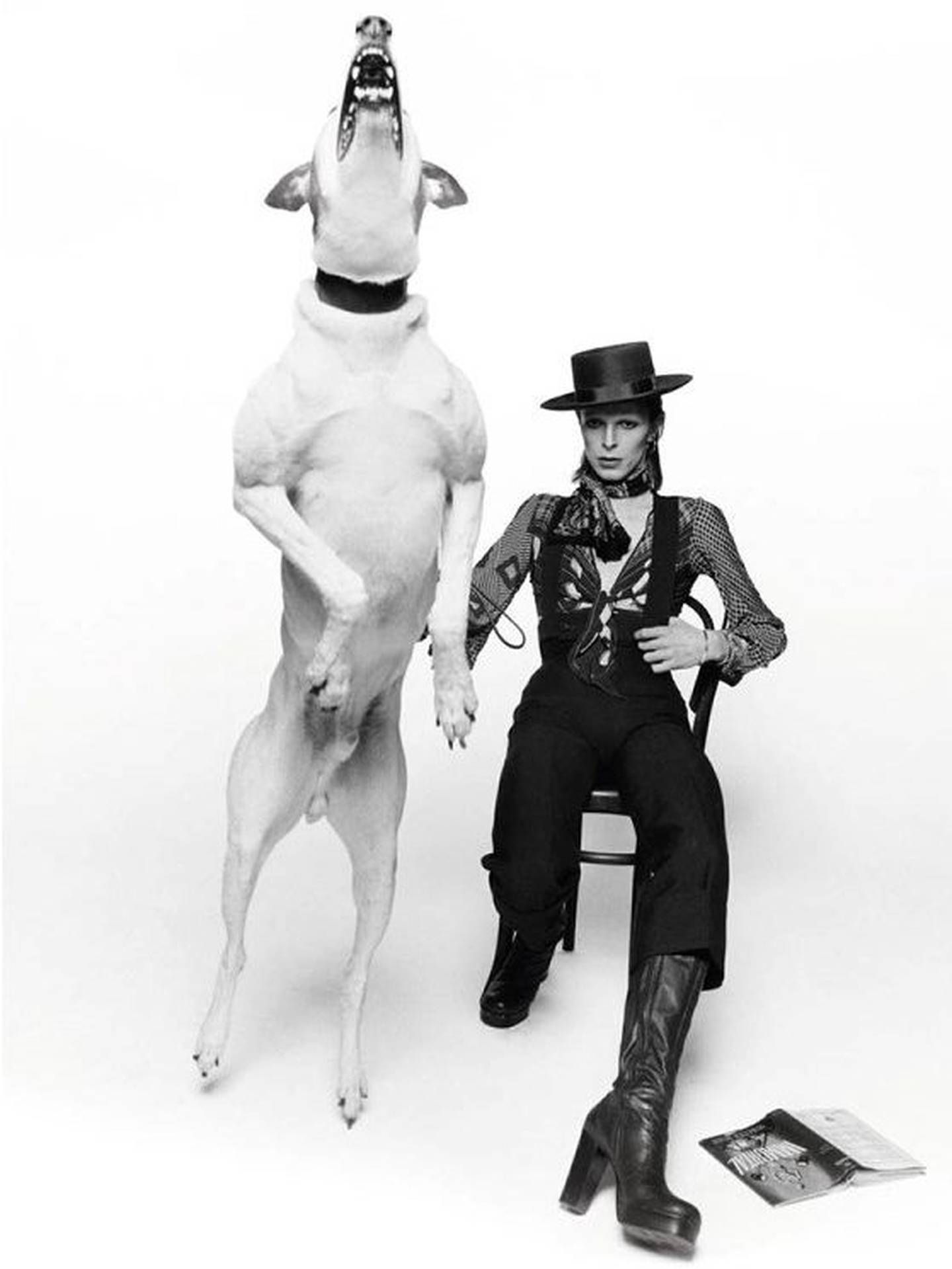 Et av Terry O’Neills mest kjente bilder er dette av David Bowie, hvor han poserer med en hund i forbindelse med lanseringen av hans album Diamond Dogs London. FOTO: TERRY O’NEILLS