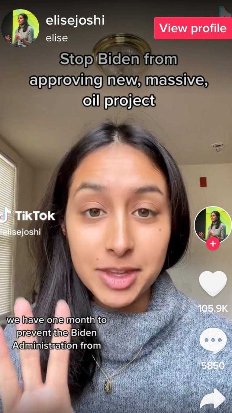 #StopWillow tok av på TikTok etter at Elise Joshi la ut denne videoen.