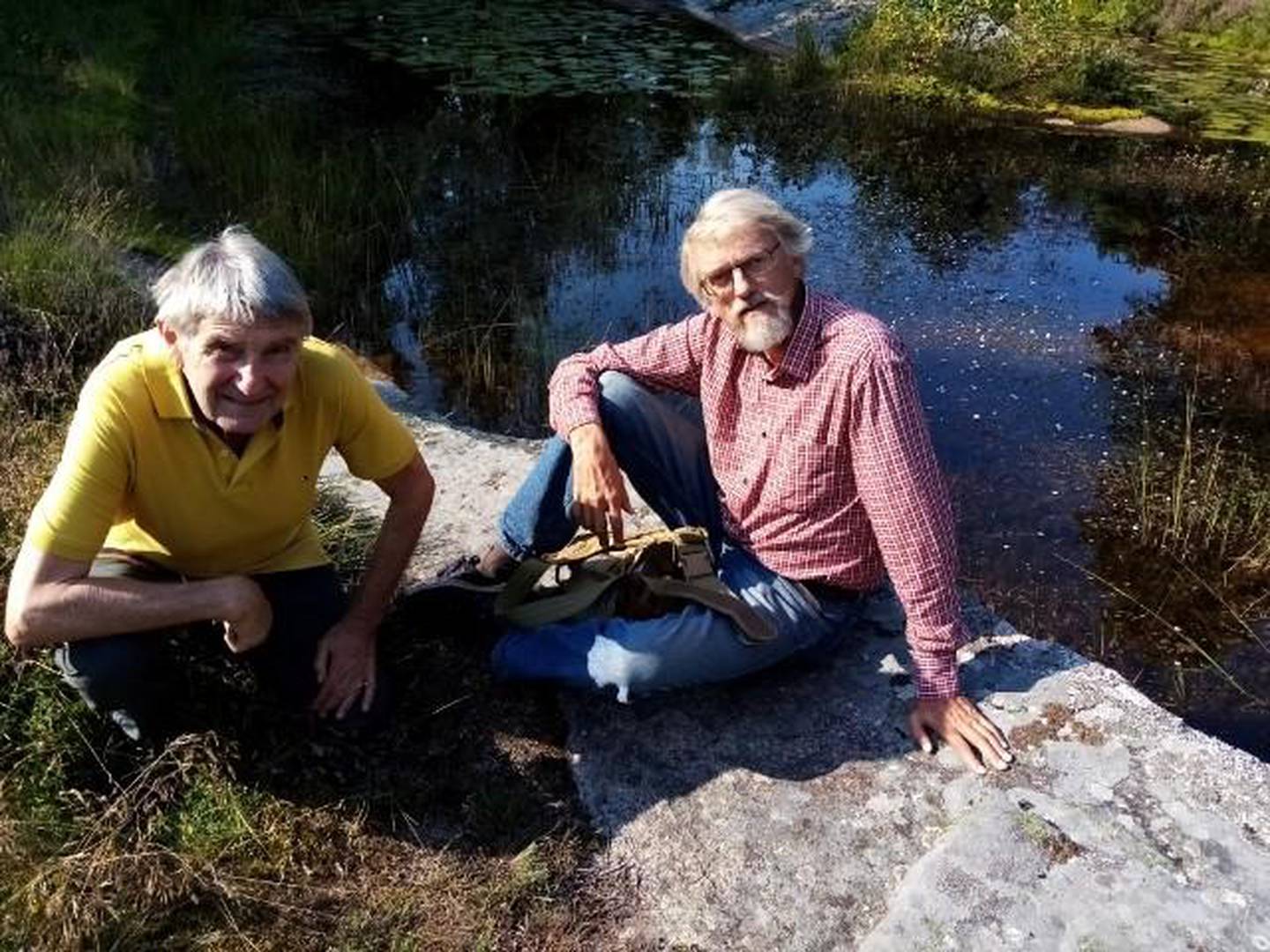 – Å slippe ut 1000 fasaner og rapphøns i Råde, Sarpsborg og Fredrikstad truer bestanden av både reptiler og amfibier, påpeker kulturlandskaps-eier Svein Åstrøm i Torsnes og biolog ved HiØ, Jan-Ingar Båtvik.