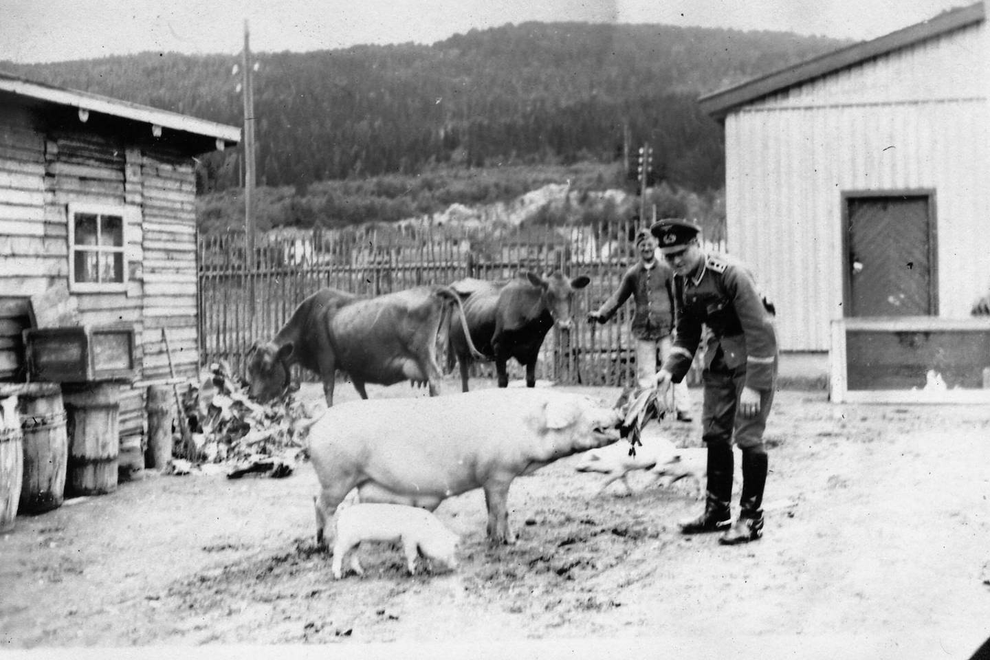 I en stor leir på Gulskogen bodde tyske soldater. De holdt også husdyr til eget forbruk.