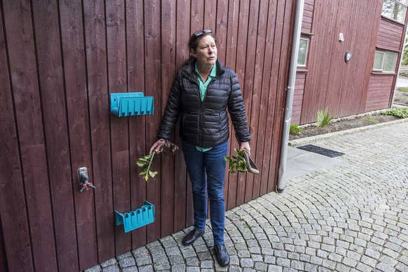 VANNSLANGEN: I tillegg til planter, busker og trær er vannslangen til Anne Grete Ellingsen forvunnet.