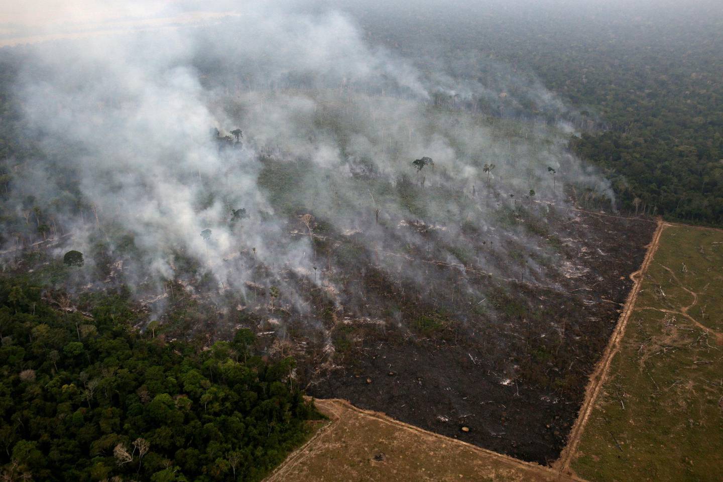 Det brenner ofte i Amazonasregnskogen, men så langt i år er det registrert flere branner enn tidligere. FOTO: NTB SCANPIX
