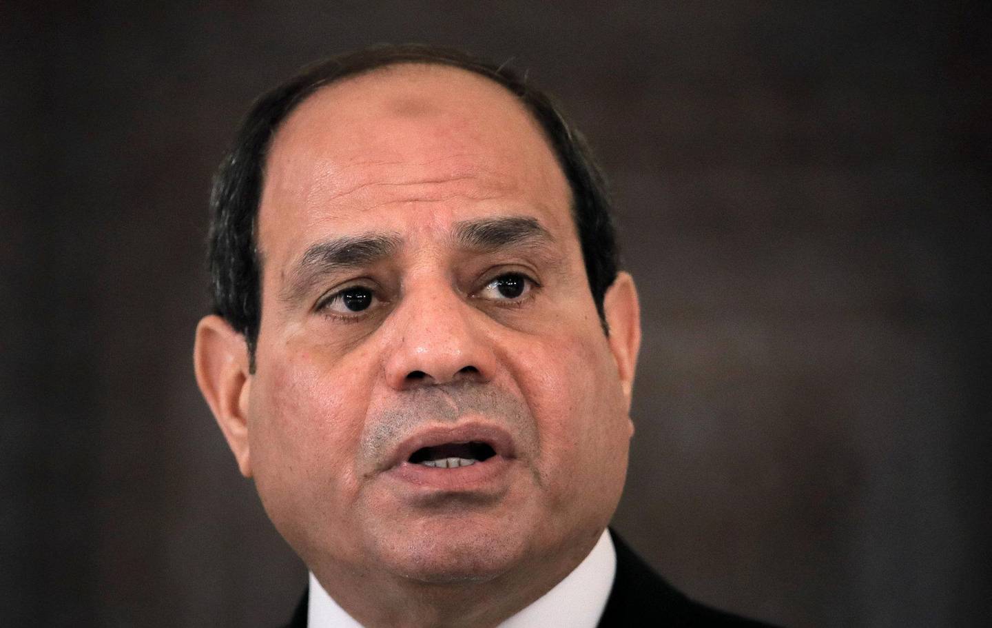 Autoritær: President Abdel Fattah al-Sisi styrer Egypt med jernhånd. FOTO: Vadim Ghirda/AP/NTB SCANPIX