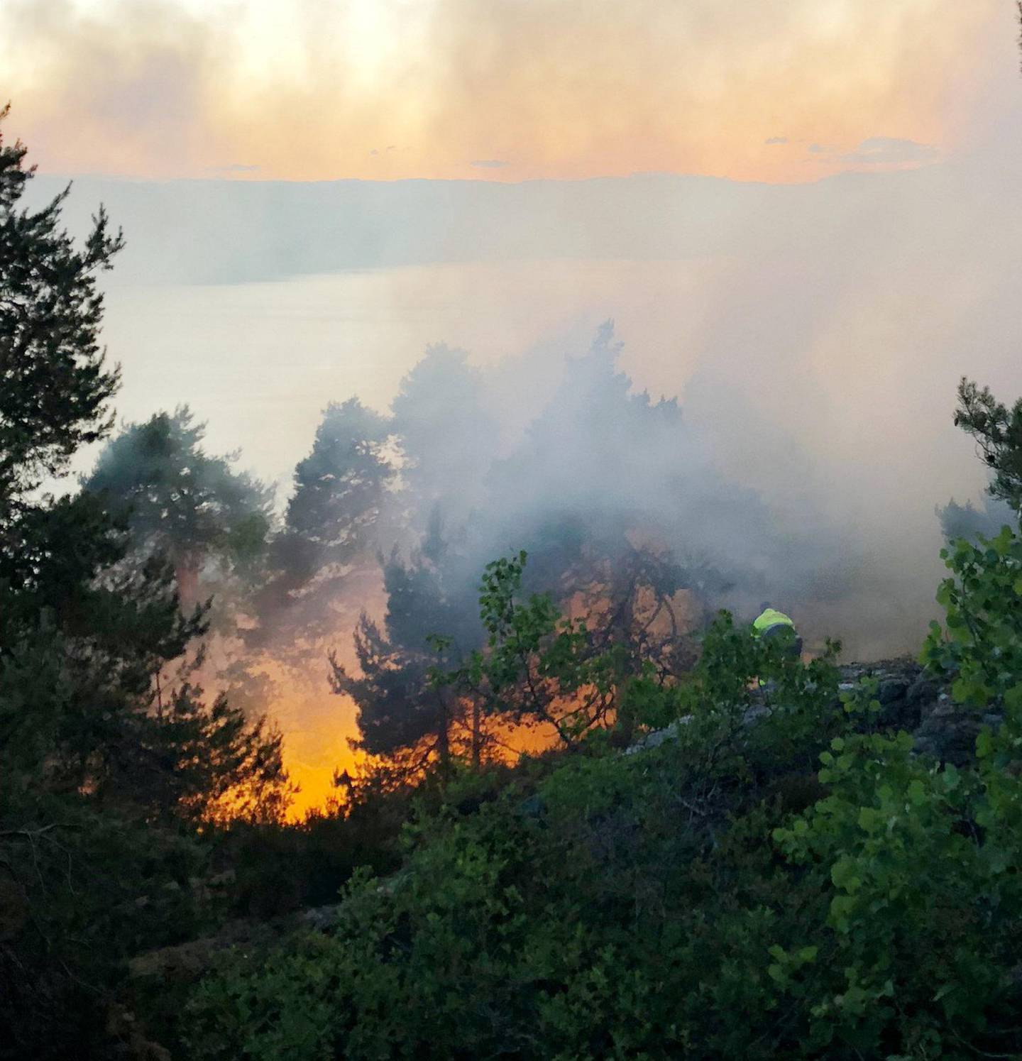 skogBRANNFARE: Meteorologisk institutt melder om «stor» eller «meget stor» brannfare ved 116 målestasjoner. Foto: NTB Scanpix