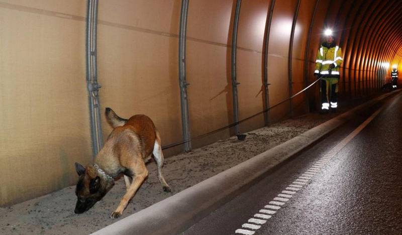 Åtte hunder har gjort livreddende tjeneste i norske tunneler de siste tre årene.
