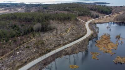 Moss kommune dømt for miljøkrim etter å ha hogd over 500 trær i et naturreservat
