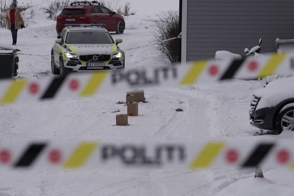 Politiet har startet drapsetterforskning og pågrepet en mann i 40-årene, etter at en kvinne ble funnet død på en privatadresse i Lier.
Foto: Heiko Junge / NTB
