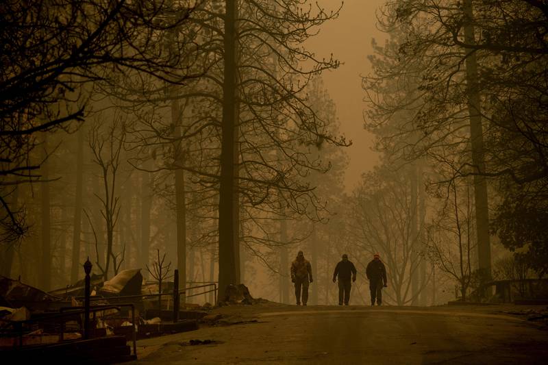 Sheriff's deputies search for human remains in a neighborhood destroyed by the Camp Fire on Saturday, Nov. 10, 2018, in Paradise, Calif. They found more than five victims during their afternoon's work. (AP Photo/Noah Berger)