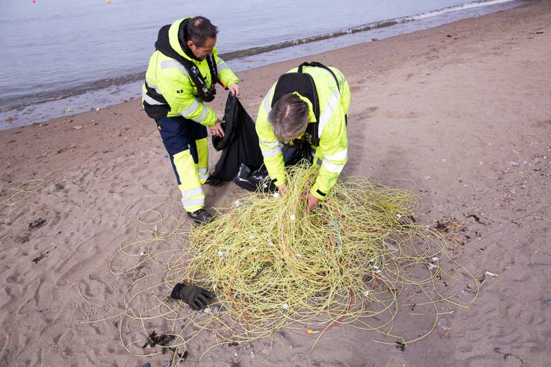 Her plukker ansatte ved Moss Havn plasttråder på Festestranda. Dumpingen av steinmasser har ført med seg mye avfall langs Værlebukta. FOTO: KENNETH STENSRUD