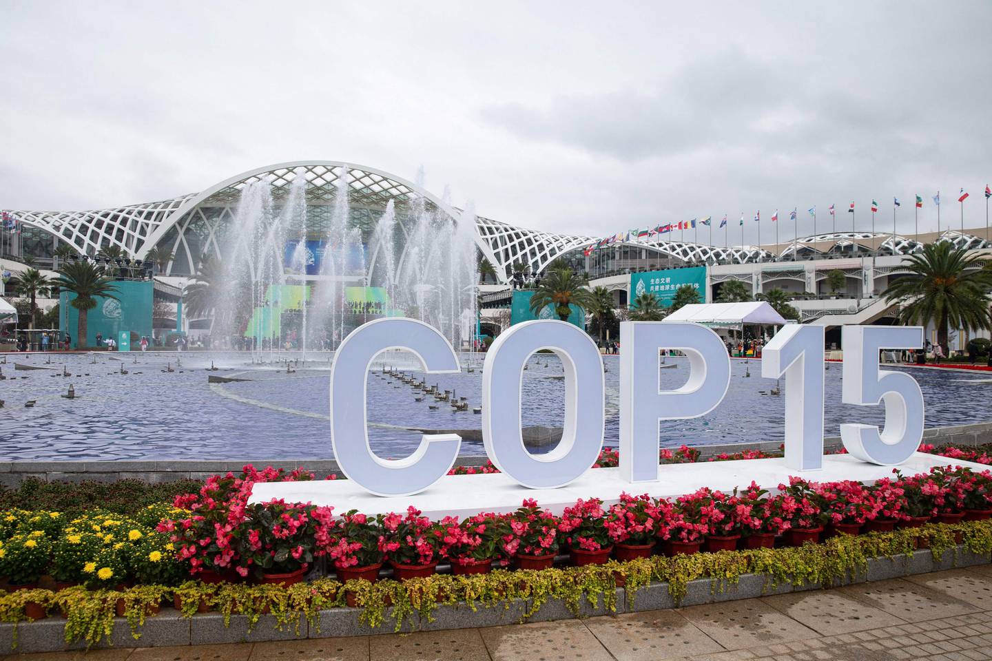 Det kommende toppmøtet i Kunming om en naturavtale, COP 15, har blitt utsatt tre ganger på grunn av koronaen, men nå skal representanter for verdens land endelig møtes der i april.