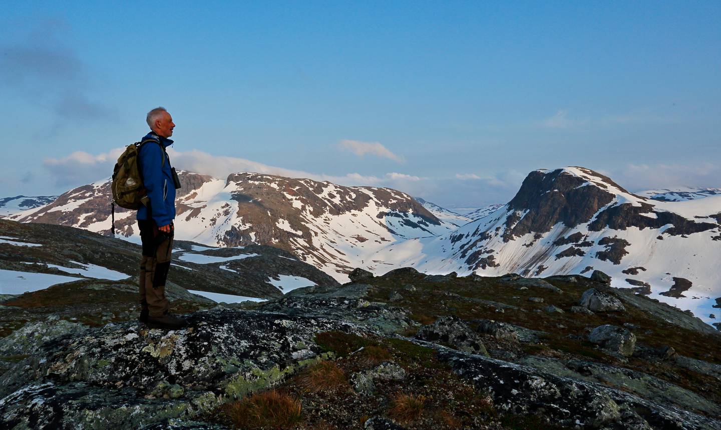 Børgefjell nasjonalpark i Trøndelag, omfatter blant annet 1.699 meter høye Kvigtind, og er egnet for dem som ønsker å se fjellrev og rovfugler, eller som vil fiske ørret, går det fram av «Guide til Norges nasjonalparker».