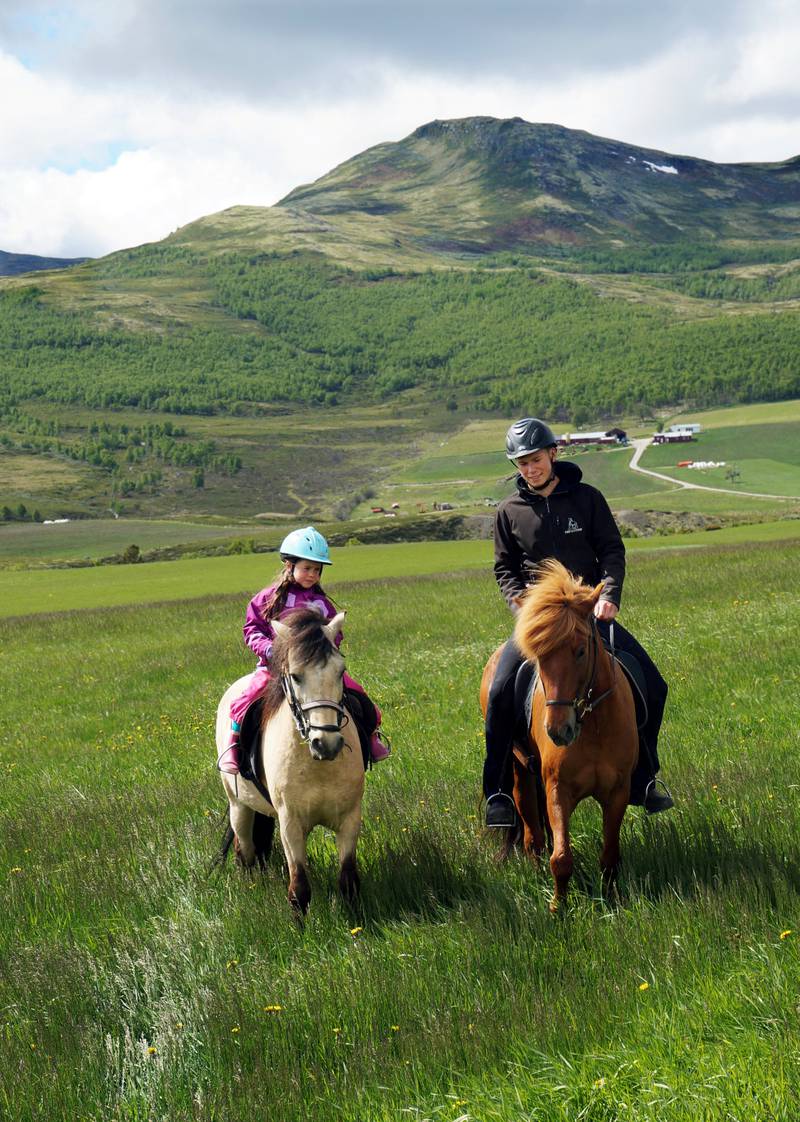 Dra på ridetur i høstfjellet, for eksempel på Kvistli Islandshestsenter på Dovrefjell.