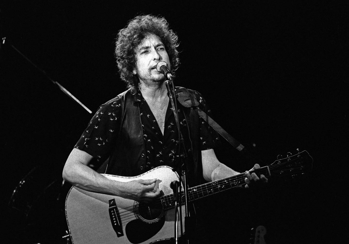 Bob Dylan på sin første konsert i Norge, i Drammenshallen i 1981.