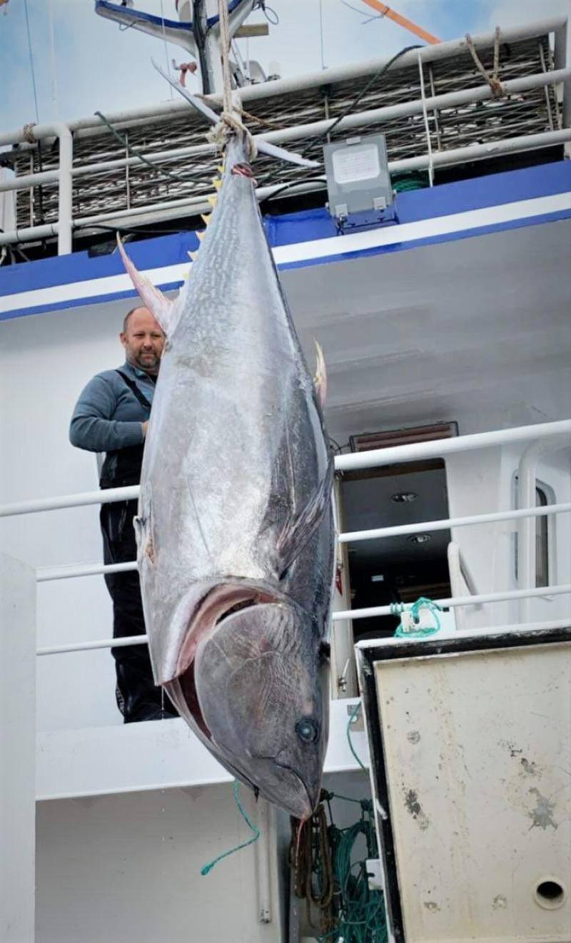 Olaf Iversen og mannskapet har dratt i land en monsterfisk: En makrellstørje på 340 kilo. – Det er den største matfisken som finnes, så dette var gøy, sier Hvaler-kapteinen.
