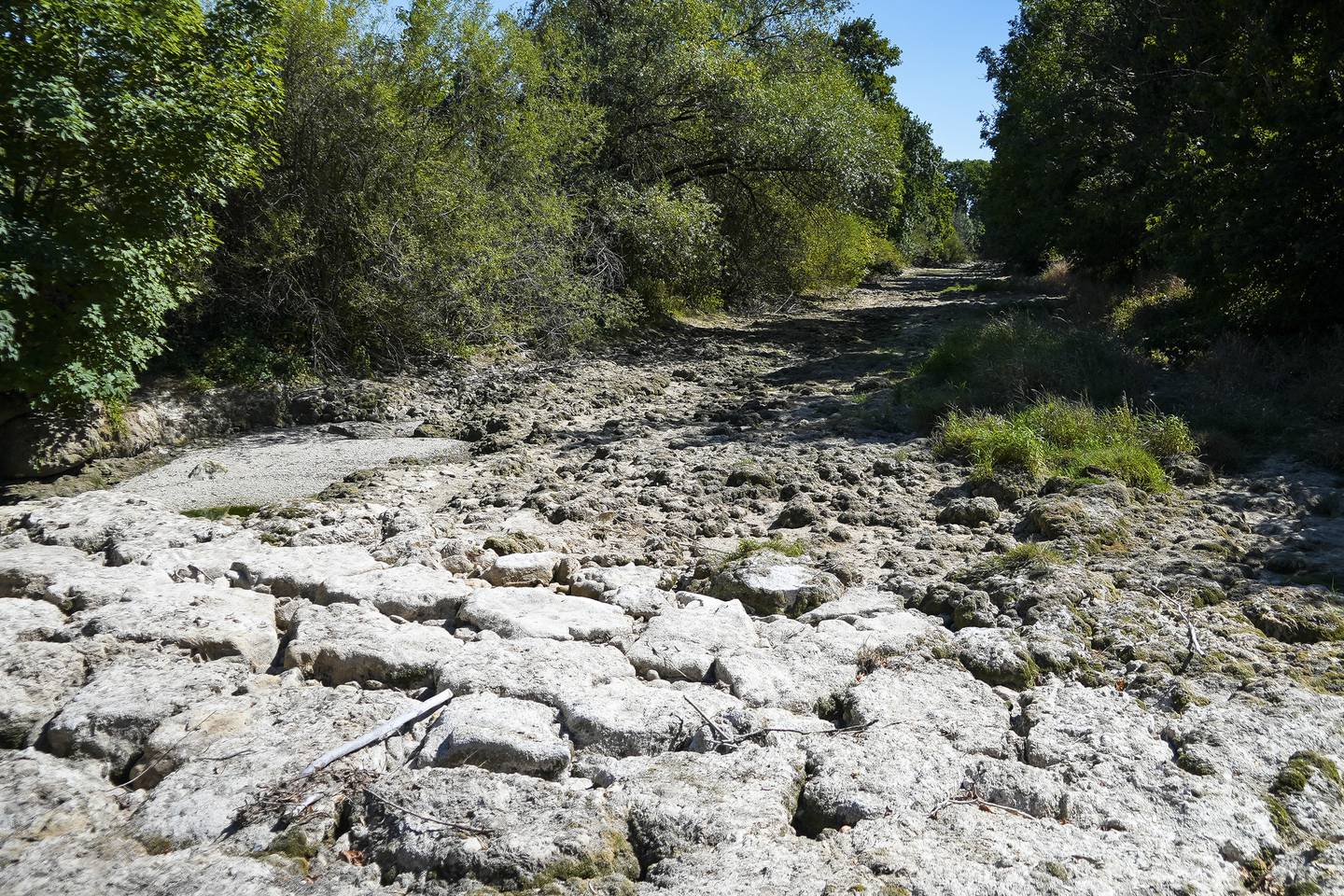 Verden er rammet av mange store kriser på en gang. Tørken i Europa i sommer er en av flere hendelser som viser hvor akutt klimakrisen er. Her fra en uttørket del av elven Tille i Frankrike i august.