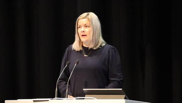Nordland Fylkesting ber helseministeren gripe inn for å stanse fødetilbud-kutt