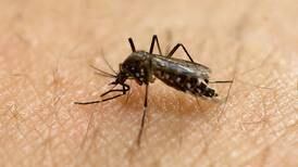 Til angrep på zika-myggen