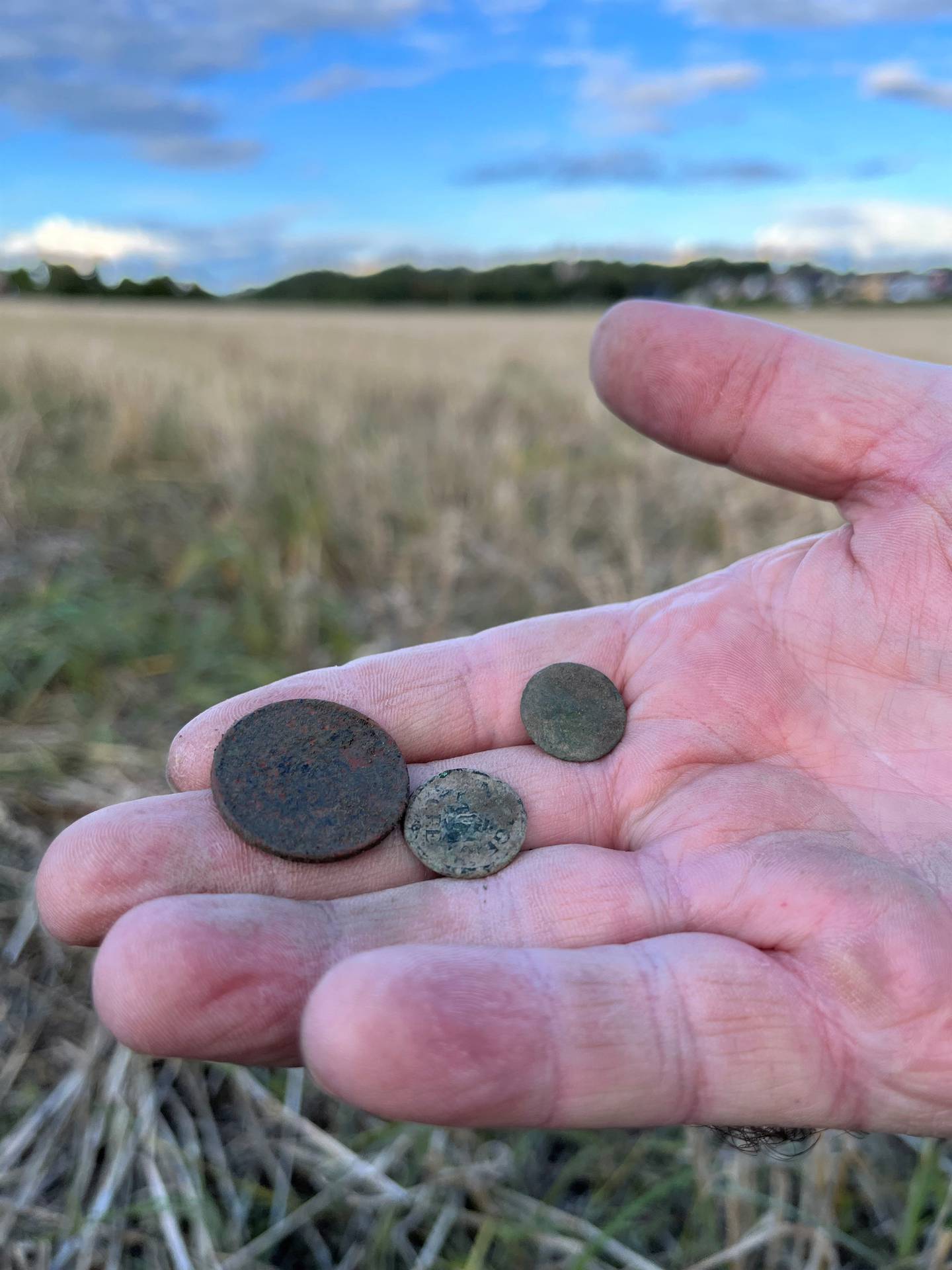 Tor Olafsen slo raskt fast at disse gamle myntene, som han fant like før intervjuet med Dagsavisen Demokraten, ikke er av interesse.