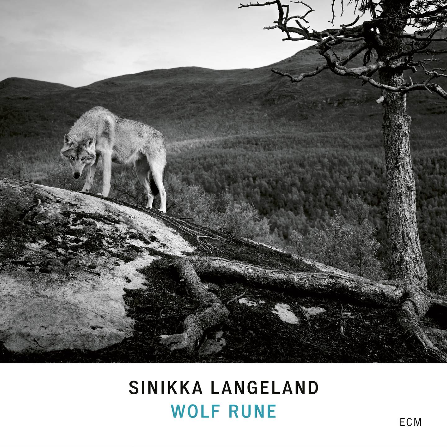 Sinikka Langeland cover