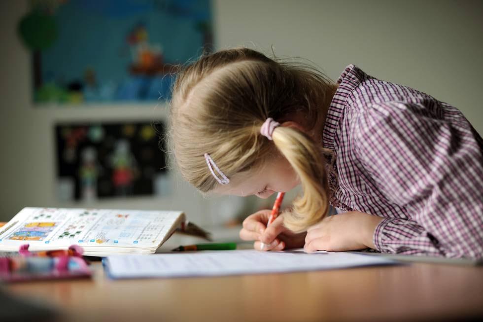 «Lekser må ha en pedagogisk begrunnelse», skriver Stein Erik Lauvås (Østfold Ap).