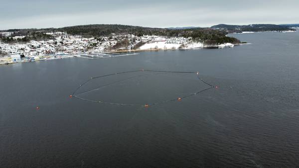 Har brukt millioner av kroner på oljeutslipp i Oslofjorden