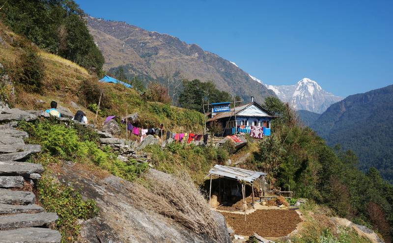 Er du glad i fjell og vandringer, bør du ta turen til Nepal. i 2016 er det lite turister på turstiene. 