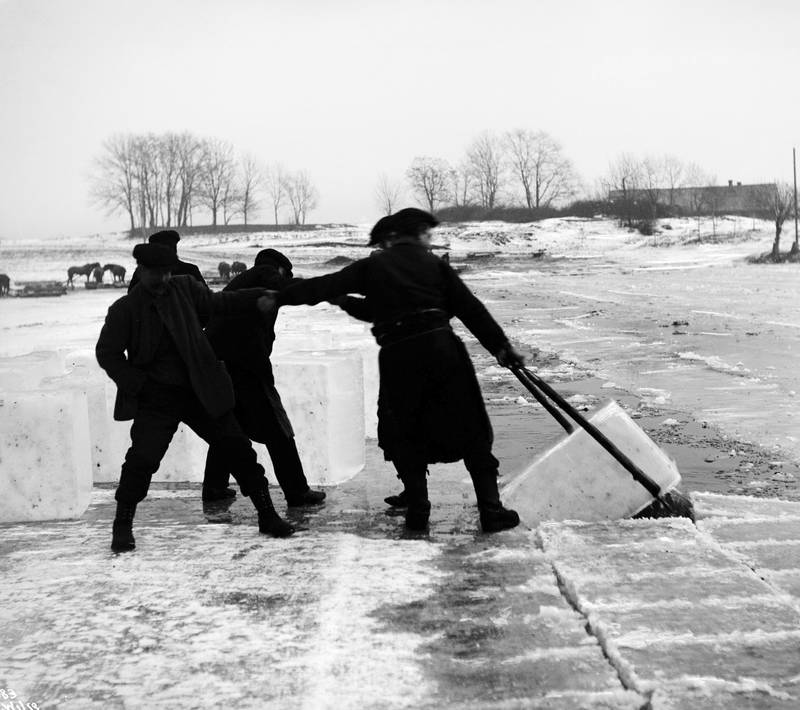 Isblokkene veide rundt 200 kilo og ble manøvrert på land ved hjelp av issakser og felles anstreng­elser fra flere  menn. Smestad­dammen 1912. FOTO: ANDERS BEER WILSE/OSLO MUSEUM