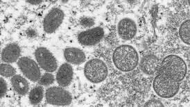 Studie viser overraskende sterk mutasjon i apekoppviruset