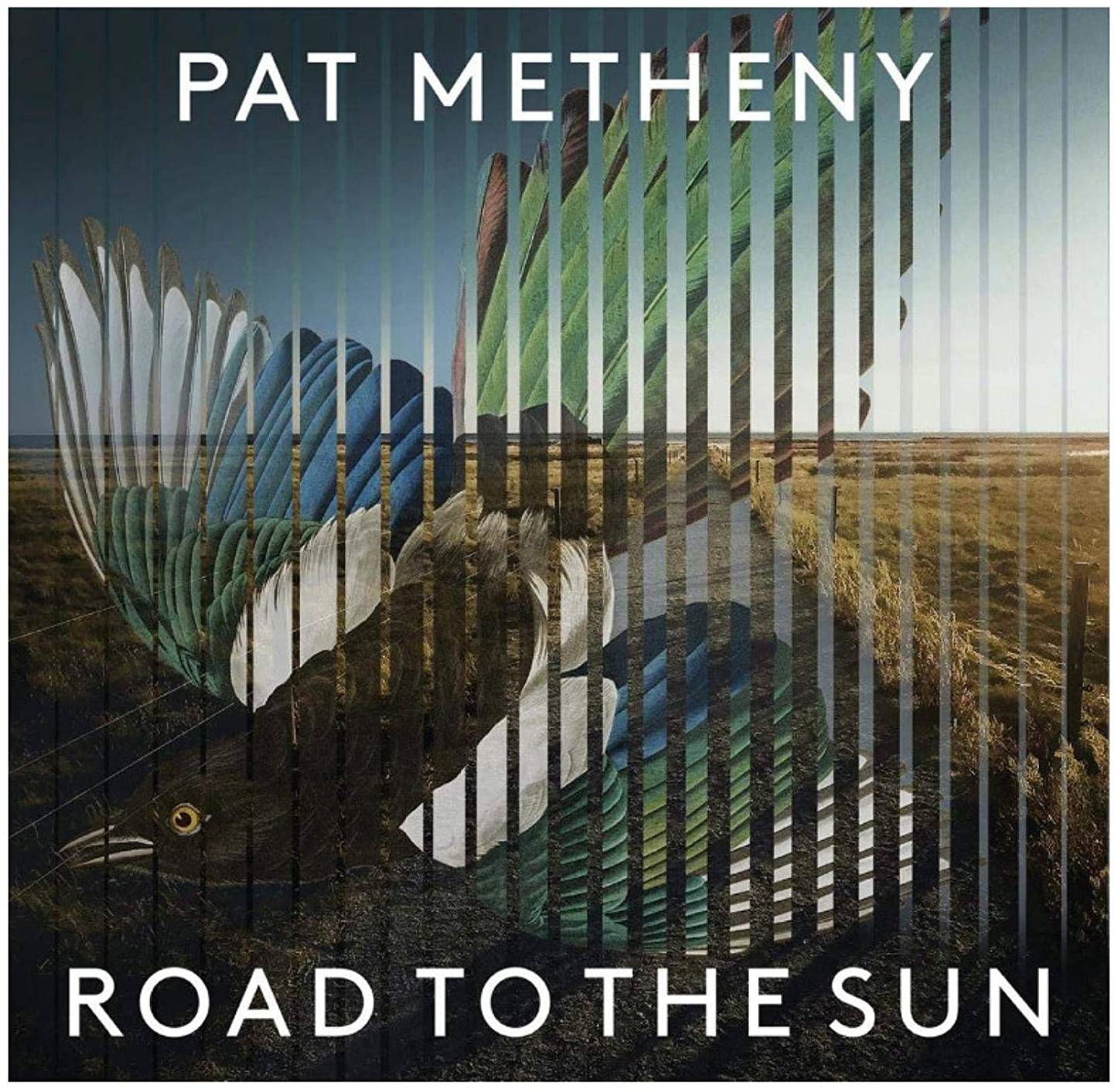 Pat Metheny: Road To The Sun