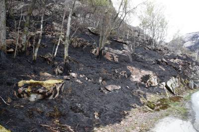 Stor skogbrannfare i deler av Rogaland