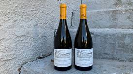 Tores vin: Hvitt fra Burgund