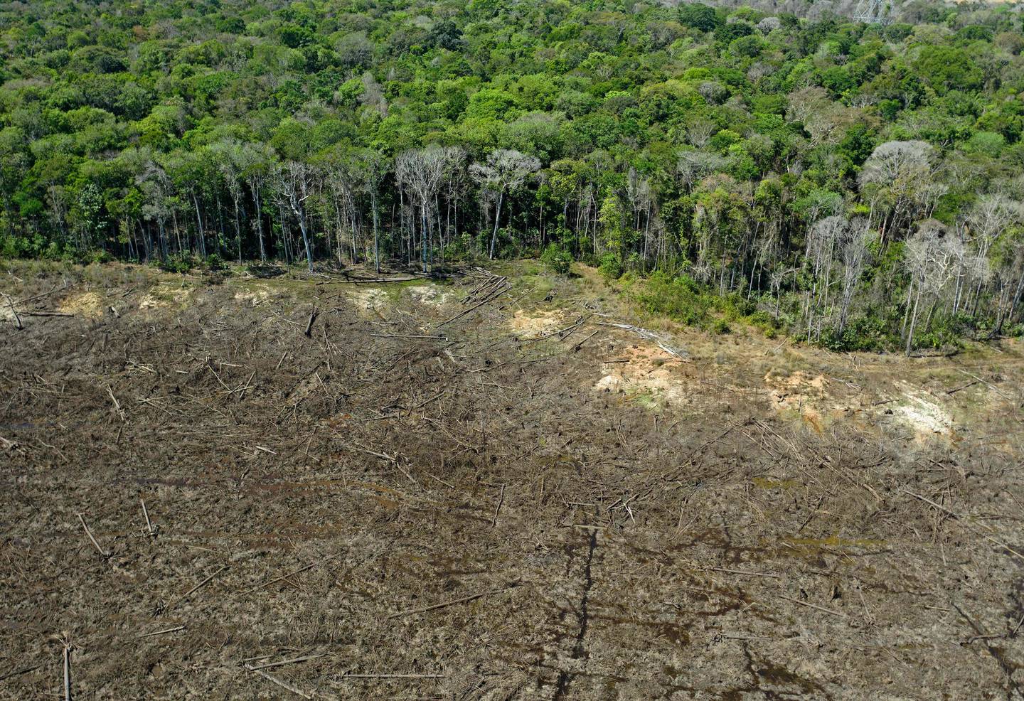Dette bildet fra 2020 viser et avskoget område av regnskogen i Brasil. Avskogingen økte med 73 prosent under president Bolsonaro.
