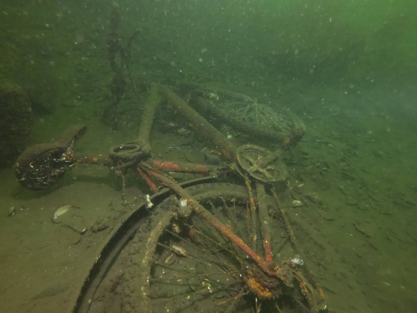 Bilde tatt 30. september i Mossesundet. På dette dykket ble det blant annet funnet en sykkel.