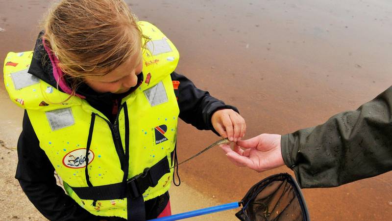 fiskefisk: Det lå en liten fisk i tanga på stranda, som Amalie (5) tror kan passe som agn for å fiske flere fisk.