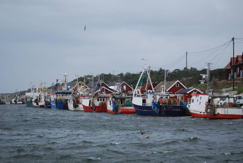 Fiskehavna i Utgårdskilen på Hvaler.