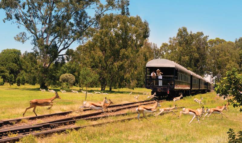 Bli med på togsafari! Opplev Afrikas storslåtte natur med luksustoget Rovos Rail. FOTO: ROVOS RAIL
