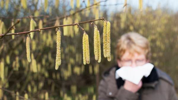 Pollensesongen har blitt mer enn én måned lengre