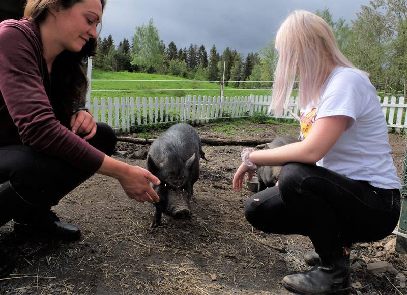 Pigly og Porky bidrar til en trygg og rolig atmosfære for brukerne av Menings- og mestringsgården. Elisabeth Johansen (t.v.) og «Mari».