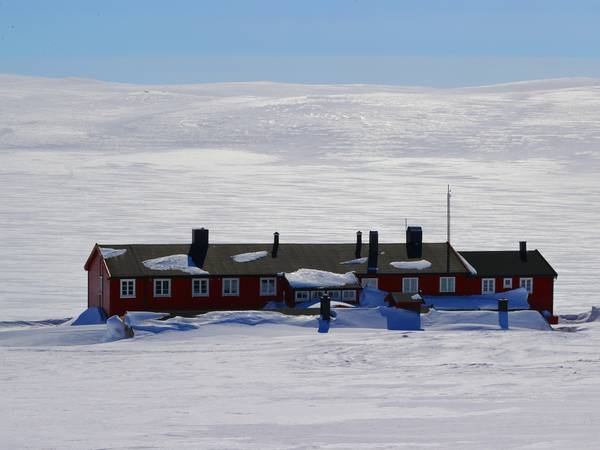 DNT-hytter på Hardangervidda stenges på grunn av villrein-kalving