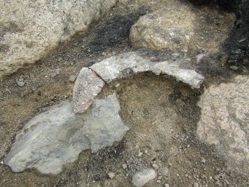 Denne sigden er trolig det største funnet arkeologene har gjort så langt i bosetningen. Den ble funnet rett ved en fossil.