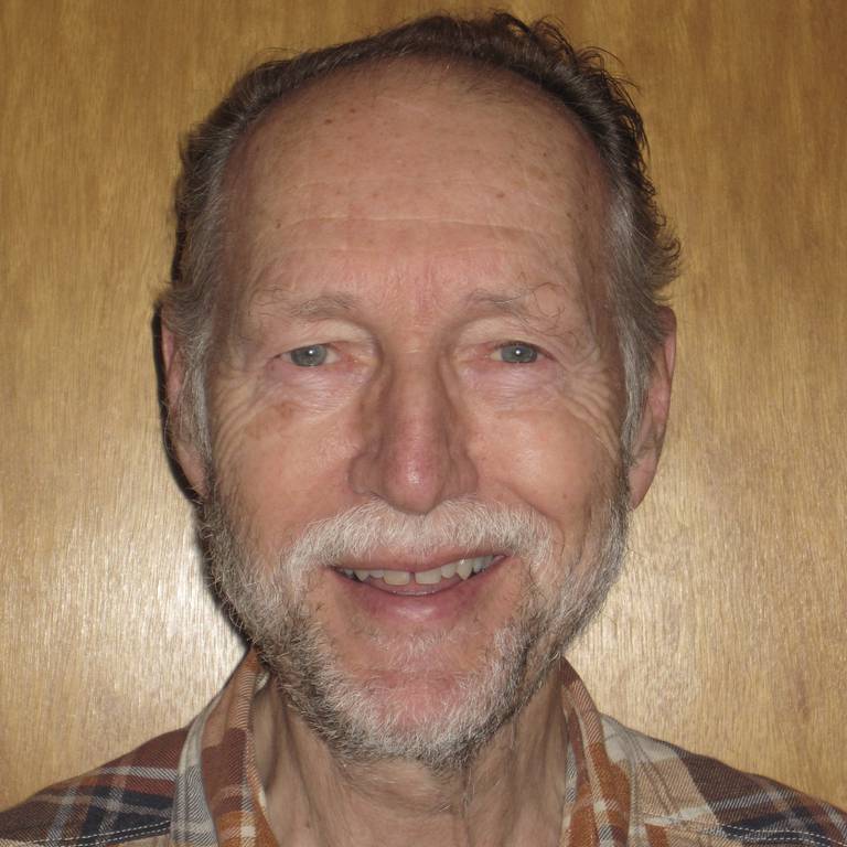 Sigmund Hågvar er professor emeritus i natur- og miljøvern, NMBU.