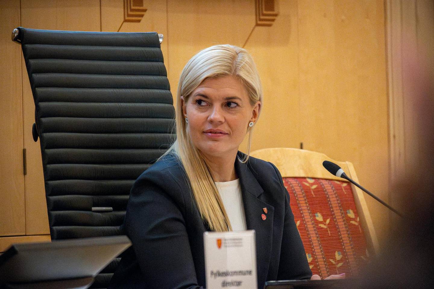 Kristina Torbergsen (Ap), fylkesordfører i Troms.
