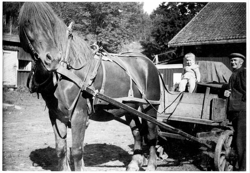 Arfinn Bondkall med bestefar Alf, som drev gården på den gammeldagse måten helt til det siste. 