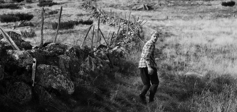 Fra filmen «Fuglane», med Anders T. Andersen i hovedrollen og på regi. FOTO: VIPER FILM