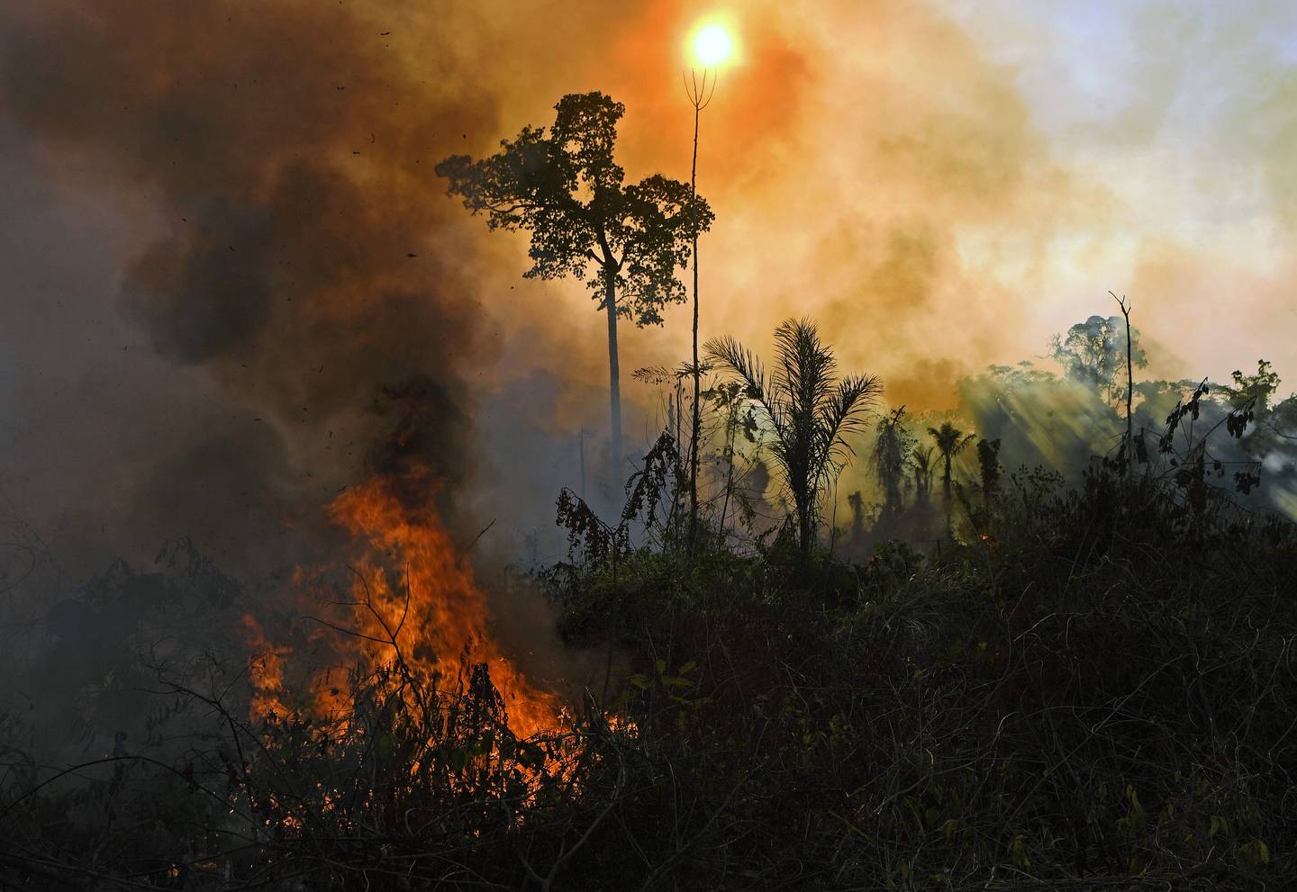 Branner som er ulovlig tent kan være kritiske for regnskogen i Amazonas. Her er en illegal brann fotografert i 2020, i Novo Progresso, i Pará, Brasil.