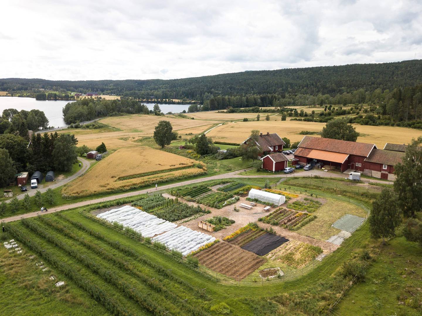 Kirkeby andelslandbruk i Maridalen er en av landets mange aktive andelsgårder. Her dyrker 60 medlemmer 2,9 mål med jord.